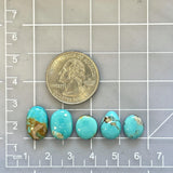 Small Sky Blue Mixed Kingman Turquoise, Set of 5 Dimensions