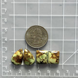 Medium Lime Green Mixed Treasure Mountain Turquoise, Set of 4 Dimensions