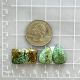 Medium Sea Green Mixed Treasure Mountain Turquoise, Set of 4 Dimensions
