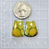 Large Earth Brown Petal Treasure Mountain Turquoise, Set of 2 Dimensions