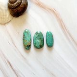 Medium Sea Green Mixed Pilot Mountain Turquoise, Set of 3 Background