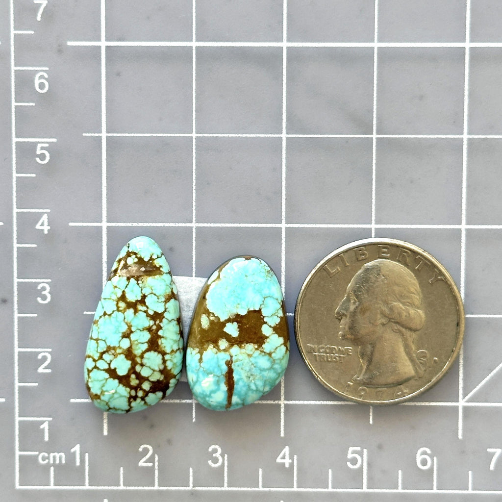 パワーストーン Large Sky Blue Mixed Number 8 Turquoise, Set of 2 - Turquoise Moose