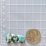 Small Sky Blue Freeform Ithaca Peak Turquoise, Set of 3 Dimensions