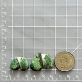 Small Bamboo Green Teardrop Treasure Mountain Turquoise, Set of 4 Dimensions
