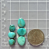 Small Mint Green Freeform Pilot Mountain Turquoise, Set of 6 Dimensions