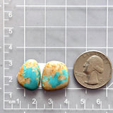 Small Sky Blue Freeform Royston Turquoise, Set of 2 Dimensions