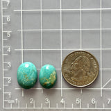Small Sky Blue Round Fox Turquoise, Set of 2 Dimensions