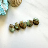 Small Mint Green Mixed Crescent Lake Variscite, Set of 5 Background