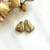 Medium Faint Green Teardrop Royston Turquoise, Set of 2 Background