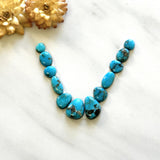 Small Sky Blue Mixed Lone Mountain Turquoise, Set of 12 Background