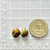 Small Faint Green Oval Royston Turquoise, Set of 2 Dimensions