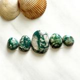 Medium Deep Green Mixed Fox Turquoise, Set of 5 Background