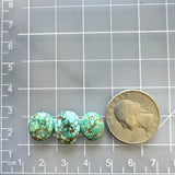 Small Sea Green Freeform Namtso Lake Turquoise, Set of 3 Dimensions