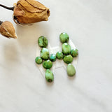 Small Lime Green Mixed Sonoran Gold Turquoise, Set of 12 Background