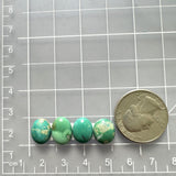 Small Sea Green Freeform Fox Turquoise, Set of 4 Dimensions