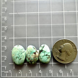 Medium Mint Green Oval Crescent Lake Variscite, Set of 3 Dimensions