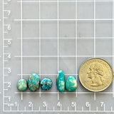 Small Sky Blue Mixed Pilot Mountain Turquoise, Set of 5 Dimensions
