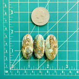 Large Sea Green Surfboard Crescent Lake Variscite, Set of 3 Dimensions