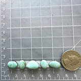 Small Faint Blue Mixed Sand Hill Turquoise, Set of 5 Dimensions