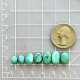 Small Sky Blue Freeform Kingman Turquoise, Set of 7 Dimensions