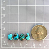 Small Sky Blue Mixed Paiute Turquoise, Set of 4 Dimensions