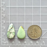 Medium Faint Green Teardrop Mixed Turquoise, Set of 2 Dimensions
