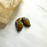 Small Earth Brown Freeform Treasure Mountain Turquoise, Set of 2 Background