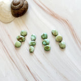 Small Lime Green Mixed Sonoran Gold Turquoise, Set of 12 Background