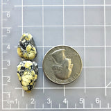 Medium Yellow Teardrop Treasure Mountain Turquoise, Set of 2 Dimensions
