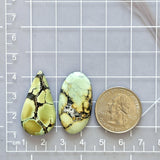 Large Mint Green Mixed Treasure Mountain Turquoise, Set of 2 Dimensions