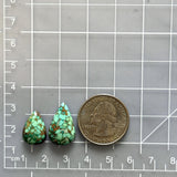 Small Mint Green Teardrop Namtso Lake Turquoise, Set of 2 Dimensions