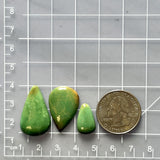 Medium Sea Green Teardrop Crescent Lake Variscite, Set of 3 Dimensions