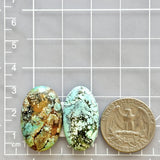 Large Sky Blue Oval Wild Horse Turquoise, Set of 2 Dimensions