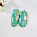 Large Sea Green Freeform Tyrone Turquoise, Set of 2 Background