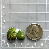 Small Sea Green Teardrop Royston Turquoise, Set of 2 Dimensions