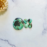 Medium Sea Green Freeform Carico Lake Turquoise, Set of 5 Background