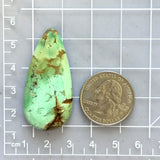 Large Lime Green Teardrop Crescent Lake Variscite Dimensions