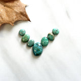 Small Sea Green Mixed Mixed Turquoise, Set of 7 Background