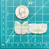 Large Mint Green Mixed Green Serpentine Serpentine, Set of 4 Dimensions