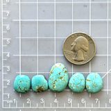 Small Sky Blue Freeform Number 8 Turquoise, Set of 5 Dimensions