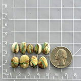 Small Mint Green Mixed Royston Turquoise, Set of 9 Dimensions