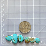 Small Sky Blue Freeform Pilot Mountain Turquoise, Set of 6 Dimensions