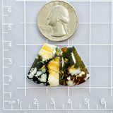 Large Purple Petal Purple Lavender Variscite, Set of 2 Dimensions