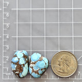 Large Sky Blue Freeform Golden Hills Turquoise, Set of 2 Dimensions