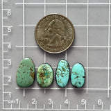 Medium Mixed Freeform Mixed Turquoise, Set of 4 Dimensions