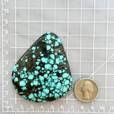 Large Sky Blue Teardrop Yungai Turquoise Dimensions