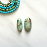 Large Faint Green Oval Crescent Lake Variscite, Set of 2 Background