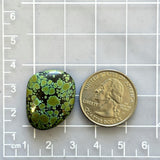 Large Bamboo Green Freeform Bamboo Mountain Turquoise Dimensions