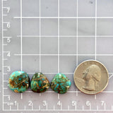 Small Sky Blue Freeform Number 8 Turquoise, Set of 3 Dimensions