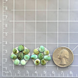 Small Lime Green Mixed Sonoran Lime Turquoise, Set of 16 Dimensions